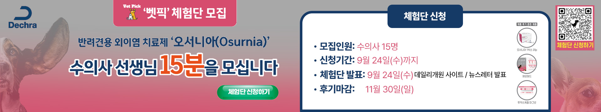 와이드배너