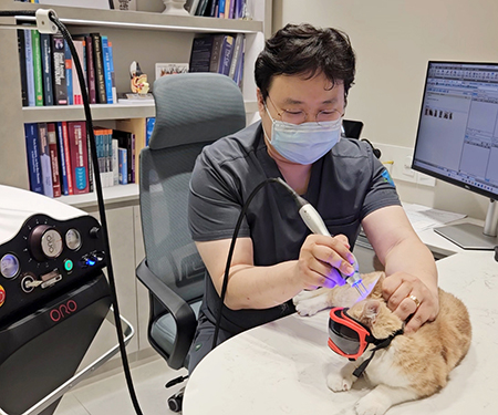 오로레이저 “즉각적인 치료 반응 및 부작용 없어 만족도와 신뢰 높여”