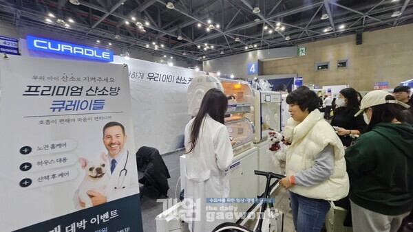 오토일렉스 ‘큐레이들’ 메가주서 뜨거운 관심 받아